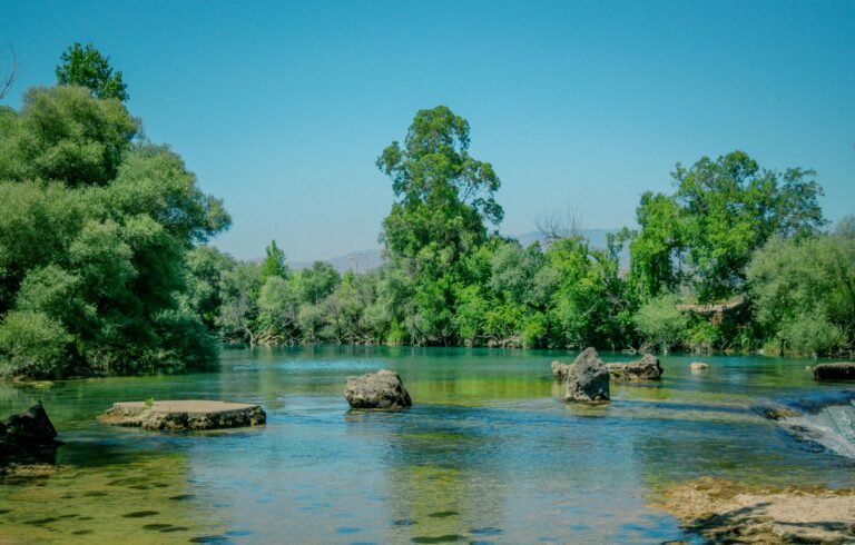 Serene scene of Manavgat River in Antalya with lush green trees and azure waters under a bright sky.